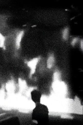 The World is Burning