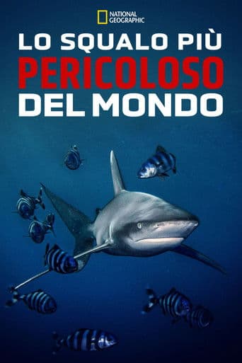 World's Most Dangerous Shark?
