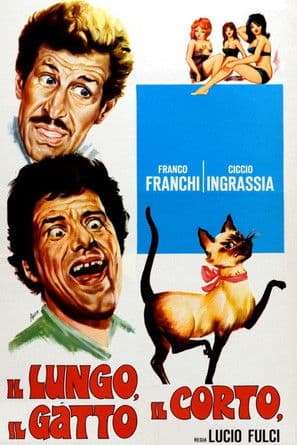 Il lungo, il corto, il gatto
