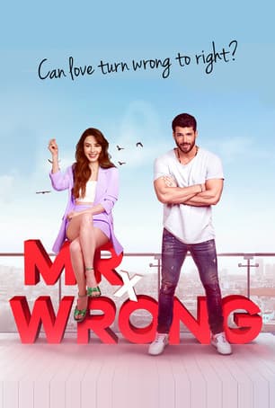 Mr. Wrong - Lezioni d'amore