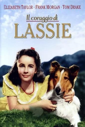 Il coraggio di Lassie