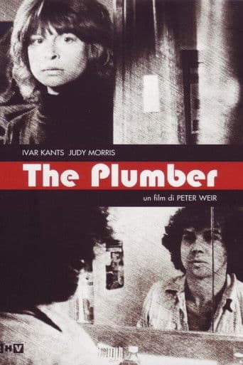 The Plumber
