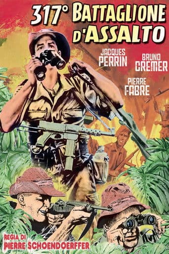 317 battaglione d'assalto