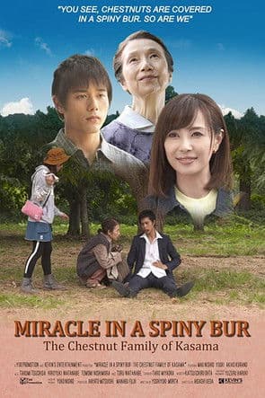 Miracle in Kasama