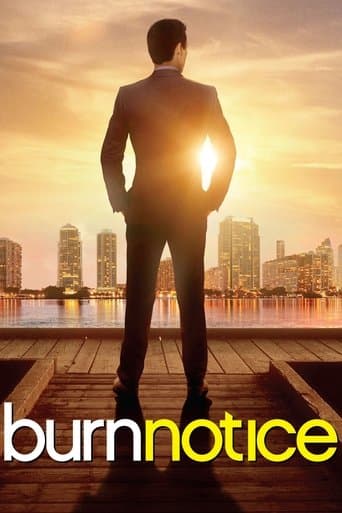Burn Notice - Duro a morire