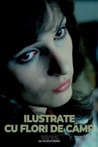 Postcards with Wildflowers