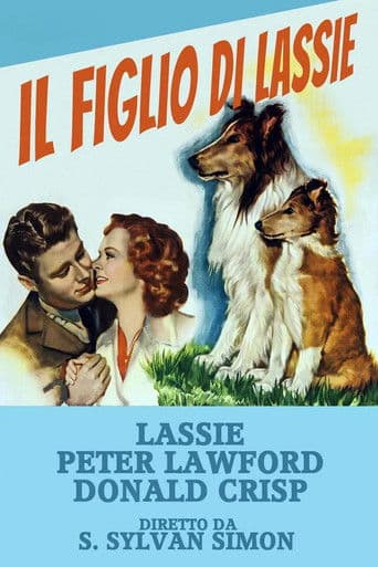 Il figlio di Lassie