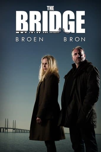 The Bridge - La serie originale
