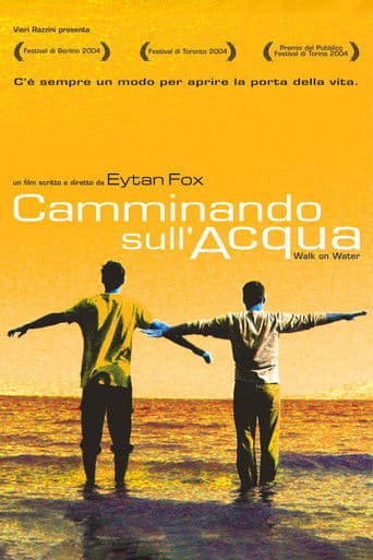 Camminando sull'acqua