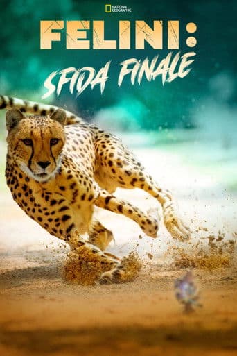 Felini: Sfida Finale