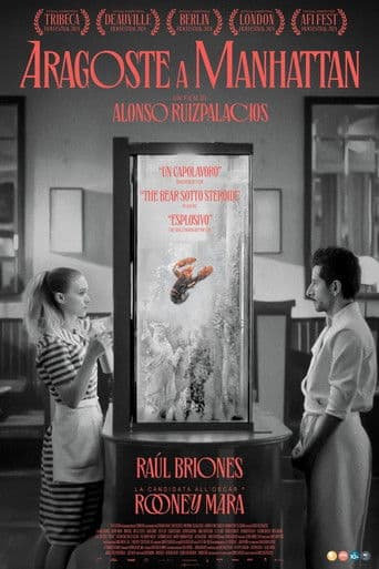 Aragoste a Manhattan