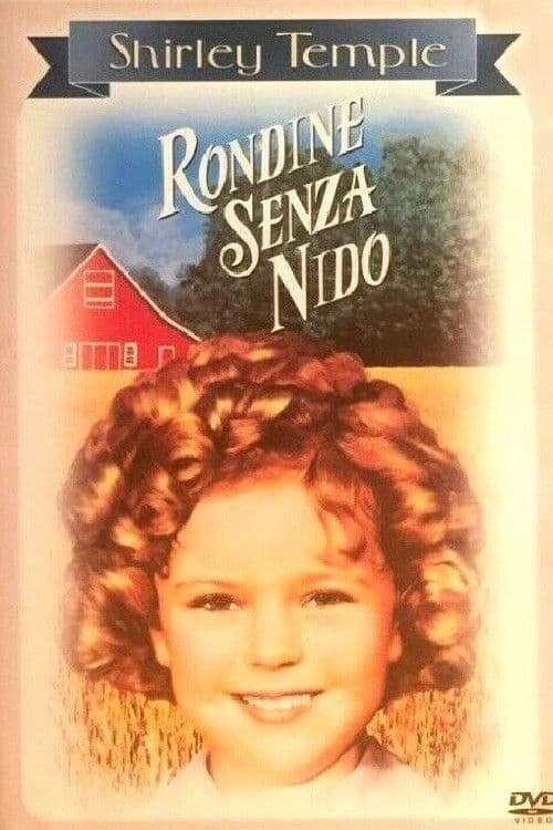 Rondine senza nido
