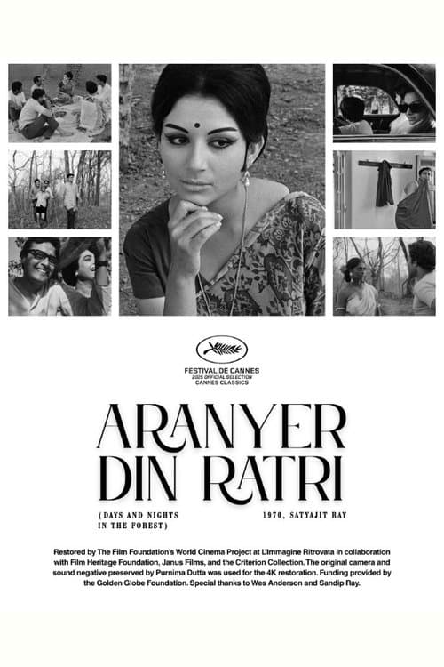 Giorni e notti nella foresta