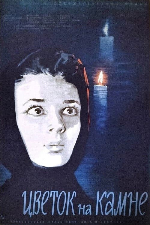 Il fiore sulla pietra