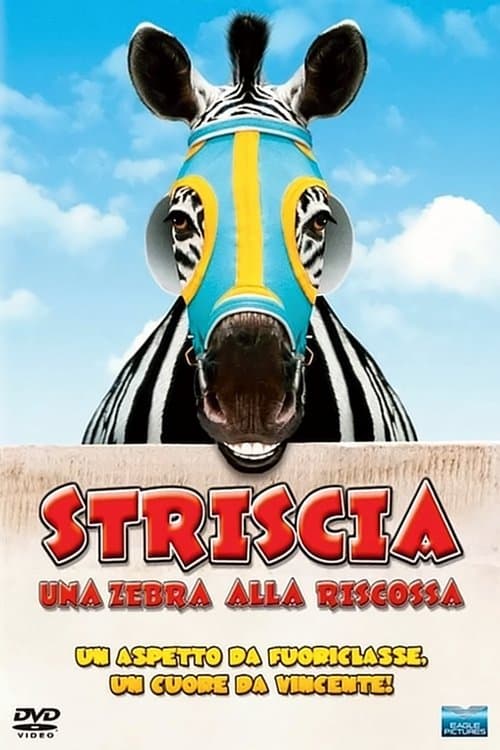 Striscia, una zebra alla riscossa