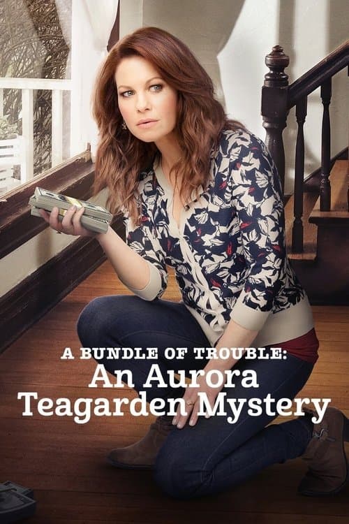 I misteri di Aurora Teagarden - Un fagottino pieno di guai