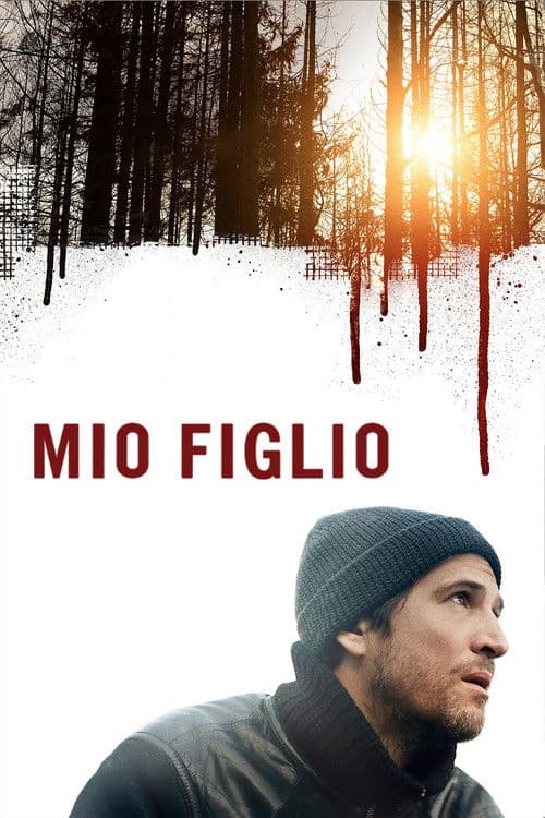 Mio figlio