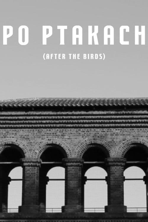 Po Ptakach