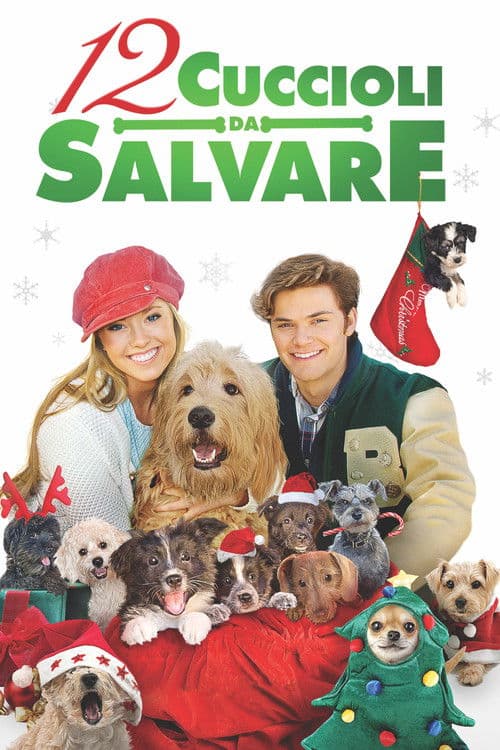 12 cuccioli da salvare