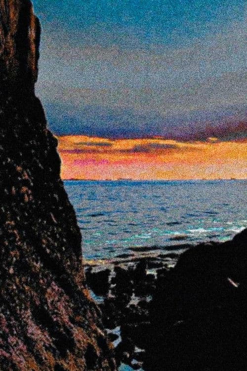 Where the Color and Sun Meet Together