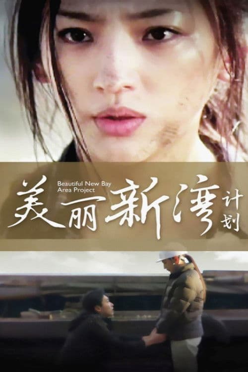 Beautiful New Bay Area Project