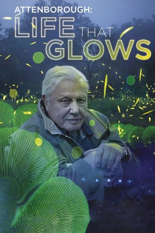David Attenborough - Luci sul pianeta