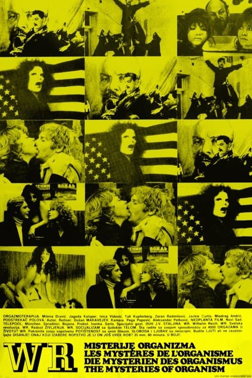 I Misteri dell Organismo