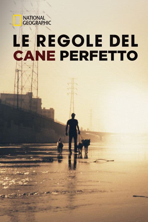 Le Regole del Cane Perfetto