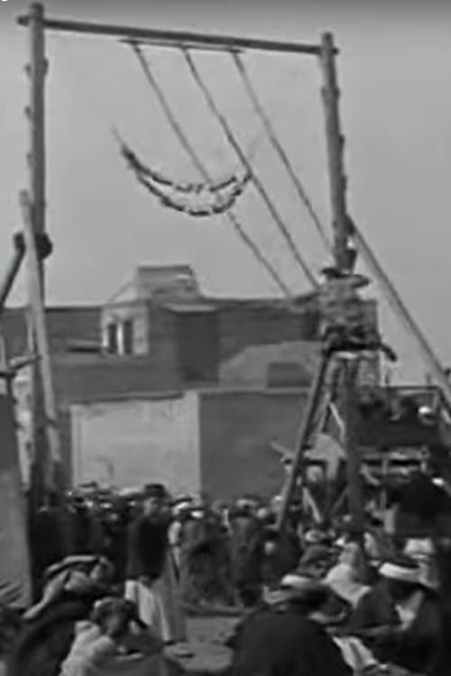 Palestine - Programme documentaire