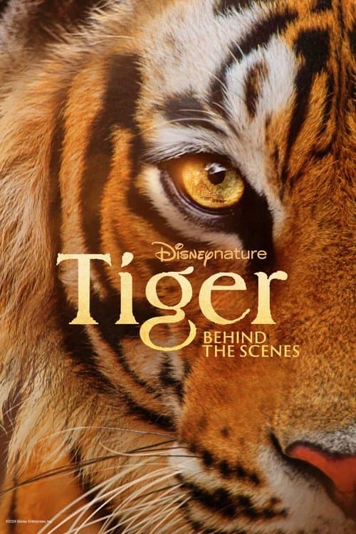 Tiger – Behind the scenes