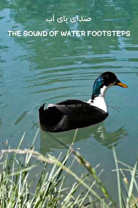 صدای پای آب