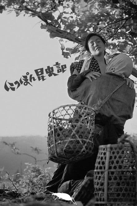 Cronache entomologiche del Giappone