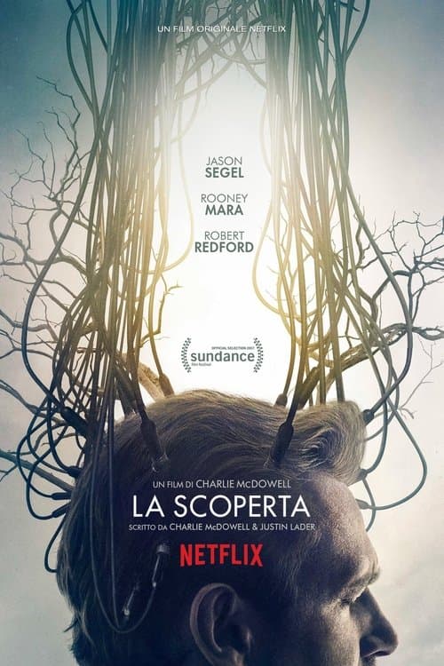 La scoperta
