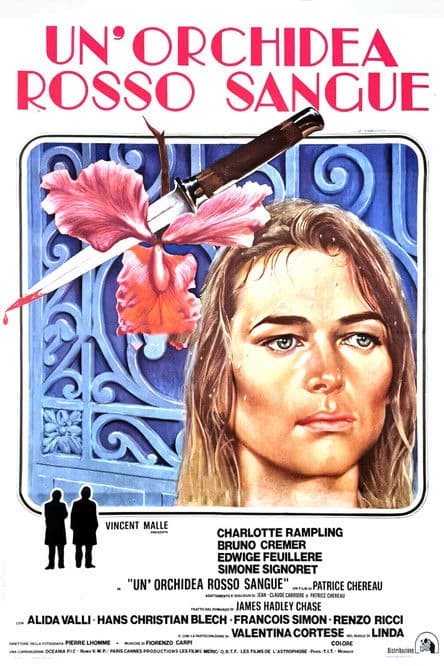 Un'orchidea rosso sangue