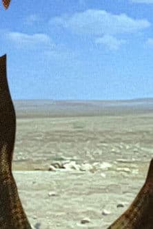 In tutte le ore e nessuna