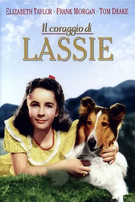 Il coraggio di Lassie