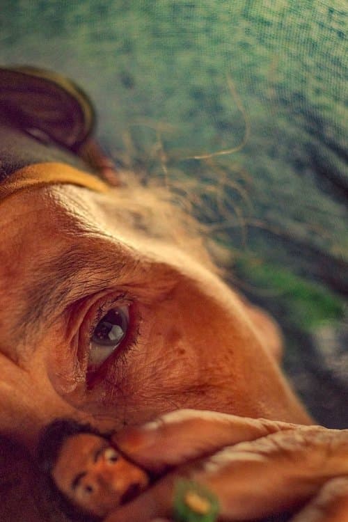 The Mother of All Lies