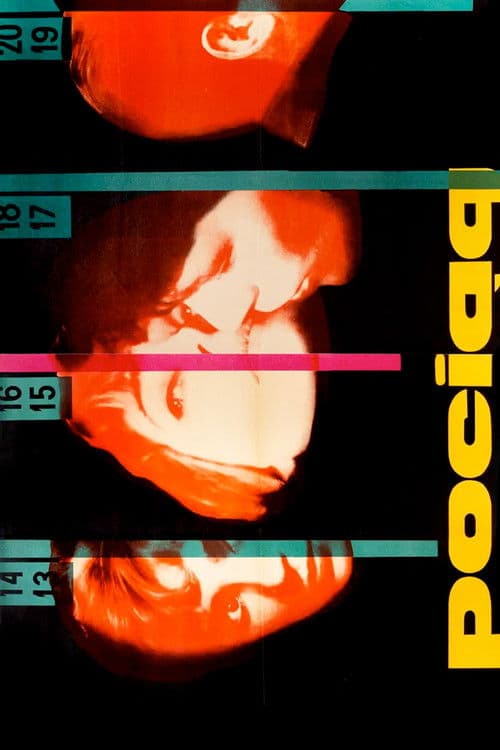 Il treno della notte