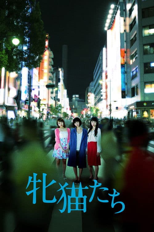 Come feline nelle notti di Tokyo