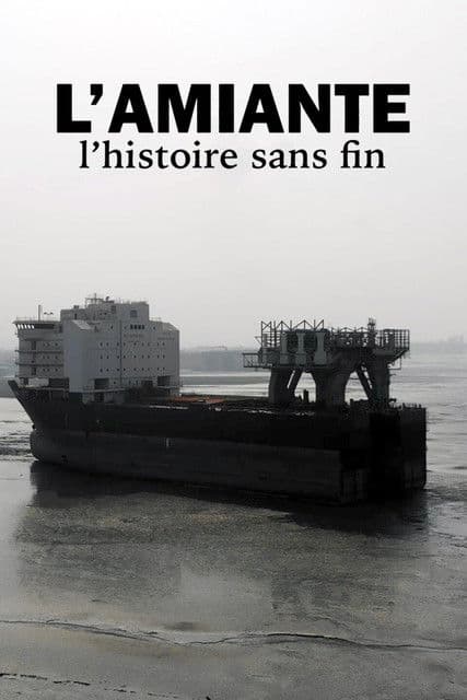 L'amiante, l'histoire sans fin
