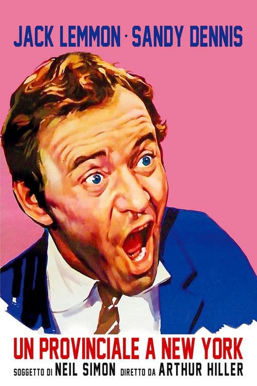 Un provinciale a New York