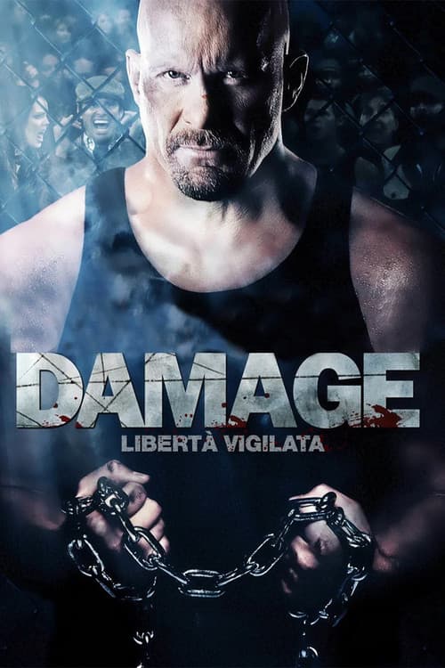 Damage - Libertà vigilata