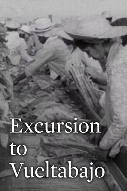 Excursión a Vueltabajo