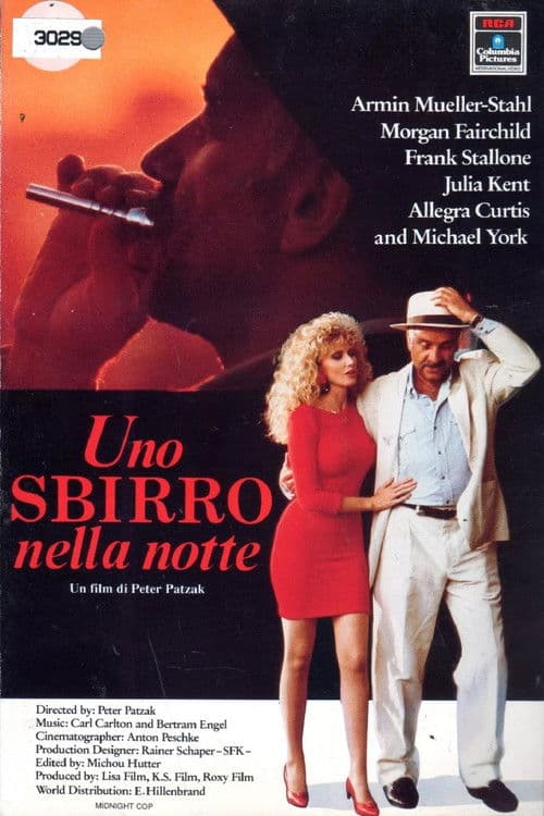 Uno sbirro nella notte