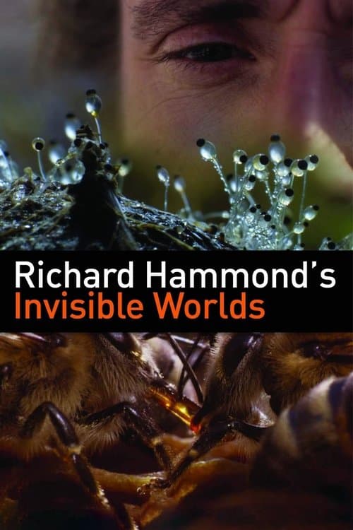 Richard Hammond: mondi invisibili