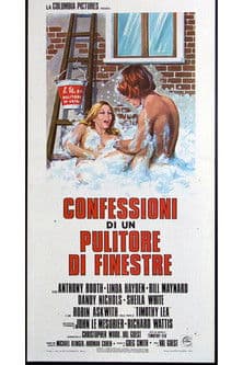 Confessioni di un pulitore di finestre