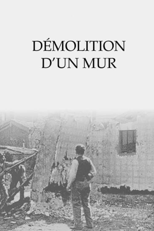 Demolizione di un muro