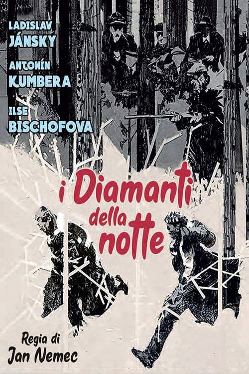 I diamanti della notte