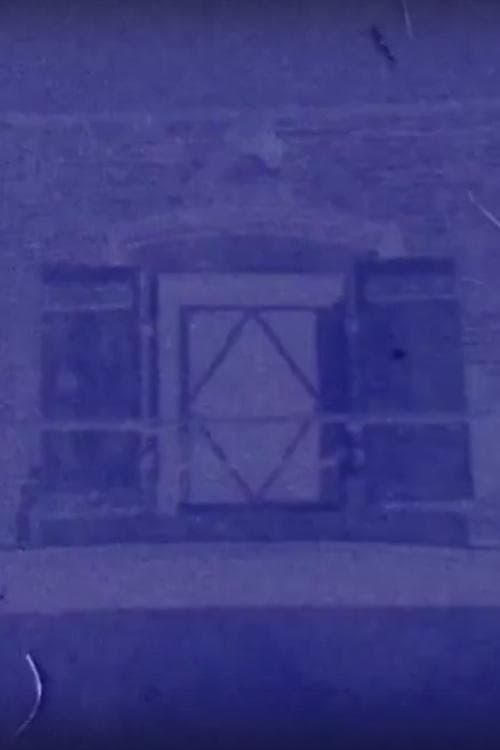 Diaphane, 27 janvier 2018, 8h08/12h34, Saint-Loup-de-Varennes, France