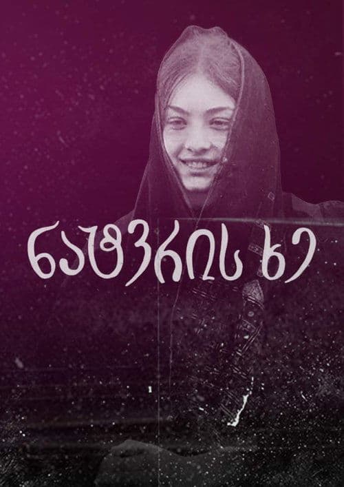 L'albero dei desideri